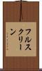 フル・スクリーン Scroll