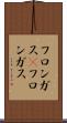 フロンガス(P) Scroll