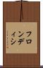 フロンディシ Scroll