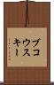 ブコウスキー Scroll