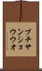 ブチサンショウウオ Scroll