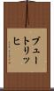 ブュートリッヒ Scroll