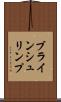 ブラインシュリンプ Scroll