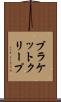 ブラケット・クリープ Scroll