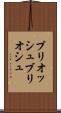 ブリオッシュ Scroll