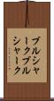 ブルシャーク Scroll