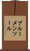ブルーメンソール Scroll
