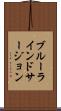 ブルーラインドサージョン Scroll