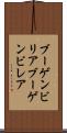 ブーゲンビリア Scroll