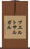 プエルトサルガル Scroll