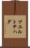 プエルトテハダ Scroll