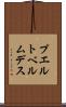 プエルトベルムデス Scroll