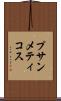 プサンメティコス Scroll