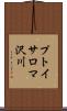 プトイサロマ沢川 Scroll