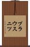 プラウスニツ Scroll