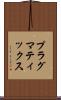 プラグマティックス Scroll
