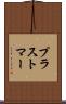 プラストマー Scroll