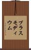 プラスモディウム Scroll