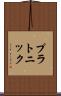 プラトニック Scroll