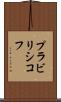プラビリシコフ Scroll