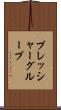 プレッシャー・グループ Scroll