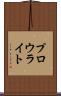 プロウライト Scroll