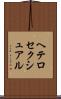 ヘテロセクシュアル Scroll