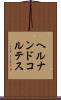 ヘルナンドコルテス Scroll