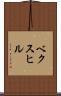 ベクスヒル Scroll