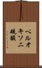 ペルオキソ二硫酸 Scroll