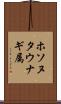 ホソヌタウナギ属 Scroll
