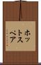 ホット・スペア Scroll