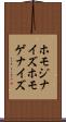 ホモジナイズ Scroll