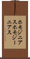 ホモジニアス Scroll