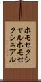 ホモセクシャル Scroll