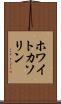ホワイトカソリン Scroll
