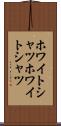ホワイトシャツ Scroll