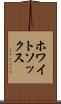 ホワイトソックス Scroll