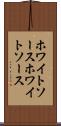 ホワイトソース Scroll