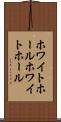 ホワイトホール Scroll
