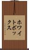 ホワイトボックス Scroll