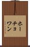 ホーチョワン Scroll
