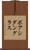 ボアシダングラス Scroll