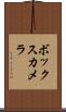 ボックス・カメラ Scroll
