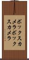 ボックスカメラ Scroll