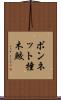 ボンネット撞木鮫 Scroll