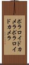 ポラロイドカメラ Scroll