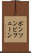ポンソンビフェーン Scroll