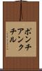 ポンチアンクチル Scroll