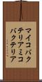 マイコバクテリア Scroll